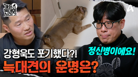 ※사상 최초 솔루션 중단※ 더 이상 해줄 수 있는 게 없다? 강형욱도 포기한 강아지