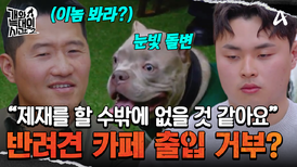 반려견 카페 기피 대상에 올랐다?! 부산에 소문나버린 늑대들의 공격성