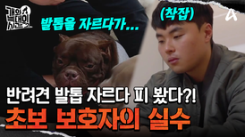 모든 것이 서툰 초보 보호자! 발톱 자르다가 피 봤다?! 영문도 모른 채 병원으로 떠난 삼두