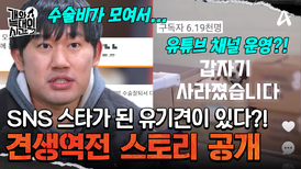 공장에 버려진 유기견이 SNS 스타가 되었다? 기적 같은 견생역전 스토리