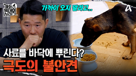 사료를 줬는데 바닥에 뿌려? '불화유발자' 늑대개의 특이한 정착방식