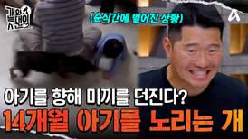 아기를 노리는 '미끼'를 던진다?! 14개월 어린 손자를 위협하는 늑대 '다온'!