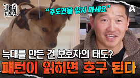 ＂동의를 구하지 마세요＂ 패턴이 읽히면 호구 된다!? 진정한 보호자로 거듭나기 위한 강형욱의 솔루션은?