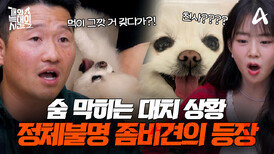 [예고] 손발을 내어주지 마라!? 물리기 전에 피해야 한다! 천사의 얼굴을 가진 좀비(?) 늑대