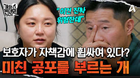 ＂진짜 위험한데＂ 역대급 공포를 불러일으키는 늑대개 '흑미'! 보호자가 공포와 자책감에 휩싸여 있다!?