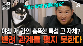 ＂야생 동물에 더 가깝습니다＂ 숨 쉬듯 물고 으르렁거리는 '흑미'! 야생 개과 동물의 특성을 가졌다?!