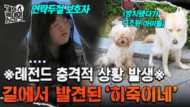 ※긴급※ 충격적인 긴급 상황 발생;; 아이들이 길에서 발견됐다? 엄마 보호자는 연락두절ㄷㄷ