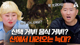 [예고] 늑대를 위해 1억 플렉스!? 어둑한 밤 6년간 산을 지켜온 수호신 늑대?!