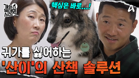 산책만 나가면 온몸으로 버티는 '산이'의 귀가 솔루션!