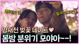 이한이주 양재천 벚꽃 데이트! 봄밤 분위기 미쳤다