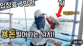 좌대에 드디어 신발짝 갑오징어가 터졌네요! 이 곳은 완전 다른 방법 입니다!!