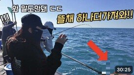 심해 갑오징어 낚시 중 로또 맞았습니다 ㄷㄷ 용돈 벌어가는 방법 해보세요!