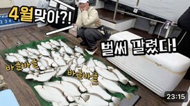 광어 다운샷 탐사 낚시에서 모두가 놀란 이유!? 올해는 꼭 필요하네요!