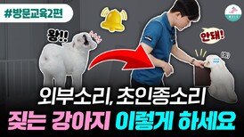 (방문교육2편) 강아지 짖음 훈련 효과적으로 하는 방법