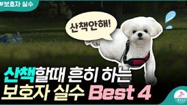 강아지가 짖을 수 밖에 없는 보호자의 행동