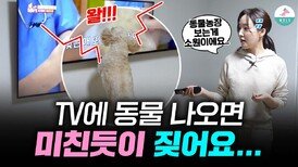 TV에 짖던 강아지, 방문교육 으로 이렇게 달라졌습니다