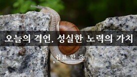 오늘의 격언, 성실한 노력의 가치