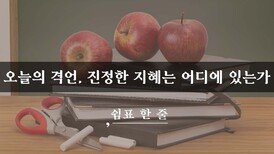 오늘의 격언, 진정한 지혜는 어디에 있는가