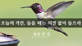 오늘의 격언, 들을 때는 의견 없이 들으라 