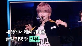 꿀벌가방으로 챌린지 말아주는 투어스