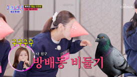 모두 비둘기가 돼 속초에서 펼쳐지는 의자 혈투🪑 TV CHOSUN 260312방송