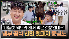 [스페셜] “먹이 감지 완료” 간식차 습격부터 음식 가로채기(?) 의심 받은 반려 멧돼지 윤남노 모음 ㅋㅋ | JTBC 260405 방송