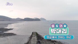 [효도기획 박대리] 땅끝에서 전하는 위로 | KBS 260206 방송 