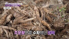 [효도 기획 박대리] 오늘의 효도 임무, 주문 취소된 더덕을 판매하라! - 강원 정선 | KBS 260417 방송 