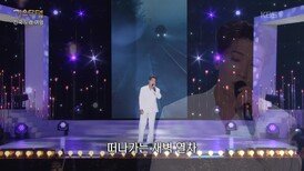 양지원 - 대전 블루스(안정애) | KBS 260420 방송 
