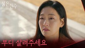 “ 언니 곁에서, 언니를 지킬 수 있게... ” 사실은 누구보다 살고 싶었던 동생 김단희 [붉은 진주] | KBS 260224 방송 