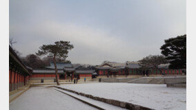 창덕궁, 종묘, 정릉에 비친 서울의 朝鮮