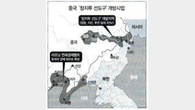 김정일-후진타오 정상회담과 北中경협 향방