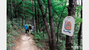 익산·김제 ‘아름다운 순례길’을 걷다
