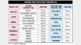 청소년 커피 중독 ‘경보’… 카푸치노 1잔, 1일 카페인 권장량 ‘2배’