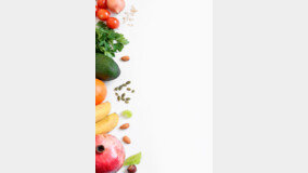 ‘닮은 듯 다른’ 과일·채소 백과사전 