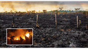 아마존 열대우림 화재는 미·중 무역전쟁 때문