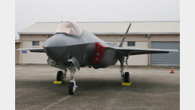 한국형 경항모에 탑재될 F-35B, 무장 능력 한계 노출 [웨펀]