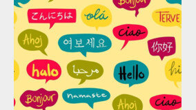 최고 외국어 공부법은 번역이다 