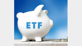 “출렁이는 증시에도 수익 쏠쏠” 금리·배당 ETF 주목 