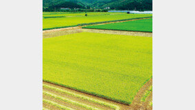 “양곡관리법·농안법 개정되면 밥상 물가 치솟고 농업 망한다” 