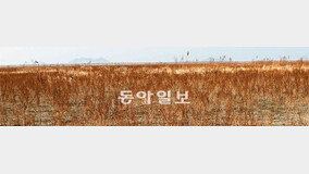 서울 30% 크기 마른 갯벌서 ‘먼지 폭탄’ 날려