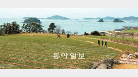 [김화성 전문기자의 &joy]해남 땅끝 봄맞이 트레킹 