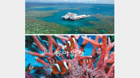 세계최대 산호초지대 즐겨라… 단 손톱만큼도 훼손없이!