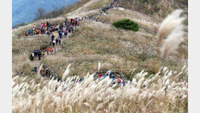 한국인이 좋아하는 취미 1위, 등산… 정적 활동보다 동적 ‘선호’