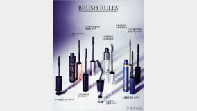 [?? ????] BRUSH RULES