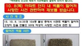 ‘용인 캣맘’ 사건 피해자, 초등생 용의자 소식에 “허탈하다”