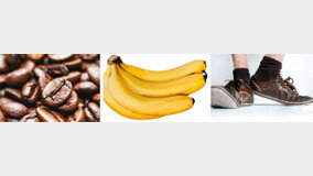 ‘‘커피-땀-바나나 냄새’ 맡는 능력, 인간이 ‘개 코’보다 낫다