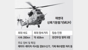 해병대 헬기, 인수 6개월만에… 10m 상공서 추락 5명 사망