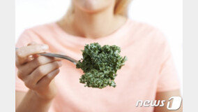 “채식주의자, 육류 섭취자보다 뇌졸중 위험 20% 높아”