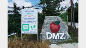 ??? DMZ ??? ?? ??… ???? ??? ?-? ??